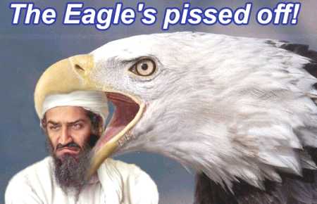 The Eagle Is Pissed